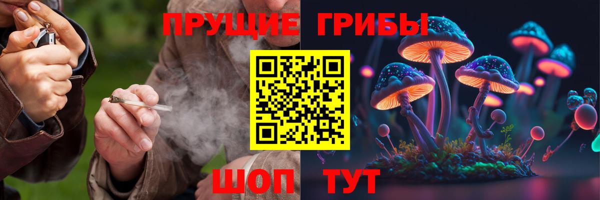 Псилоцибиновые грибы Cubensis Маркс